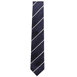 Elegant Tie from Arrow