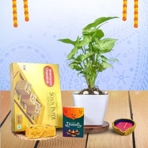 Desi Ghee Delight  Diwali Hamper