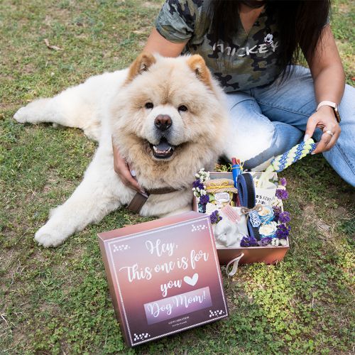 Thoughtful Treasures for Pet Enthusiasts