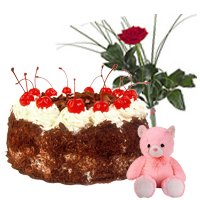 Enticing Black Forest Cake, Teddy and Red Rose