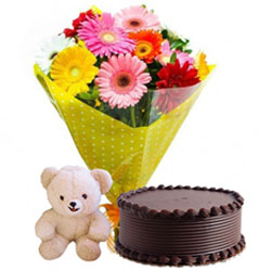 Marvelous Teddy with Chocolate Cake and Mixed Gerberas Bouquet