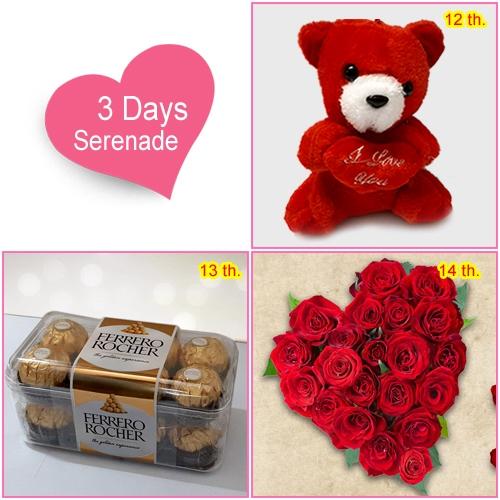 3 Day Serenade for Love of your Life