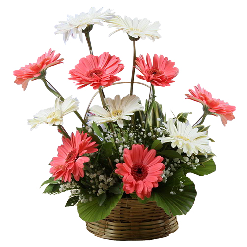 Lovely Mixed Gerberas Arrangement