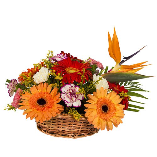 Arrangement of Carnations and Gerberas