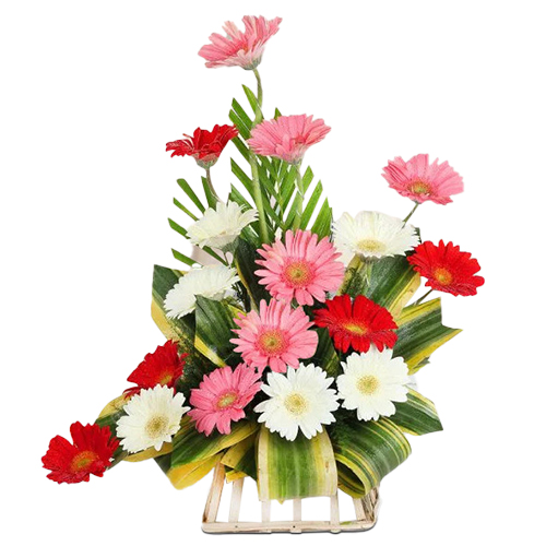 Beautiful Gerberas Arrangement