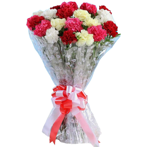 Long Stem Mixed Carnations Bunch