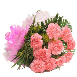 Special Bunch of Pink Carnations
