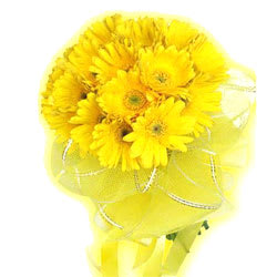 Special Yellow Gerberas Bouquet