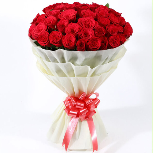 Lovely Premium Bouquet of Dutch Roses