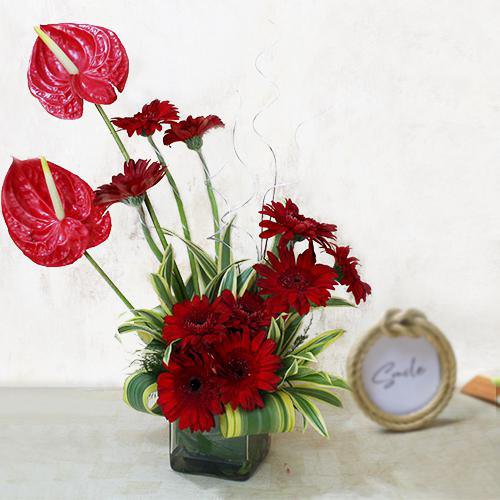 Marvelous Arrangement of Red Gerbera n Anthurium in Glass Vase
