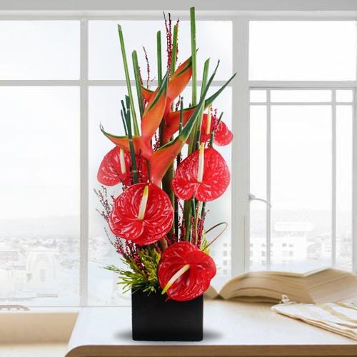 Exclusive Arrangement of Red Anthurium with BOP in Black Box