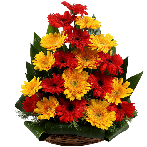 Pretty Arrangement of Red N Yellow Gerberas