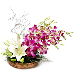 Wonderful Basket of Orchids N Lilies