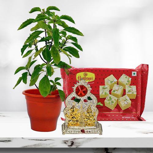 Spiritual Gift of Holy Tulsi Plant with Sweets N Mandap