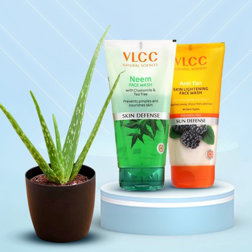 Gift Wrapped Aloe Vera Plant with Face Wash Set