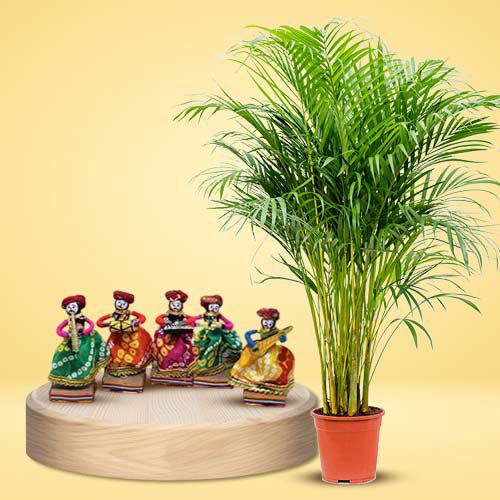 Eye-Catching Pair of Areca Palm Plant N Rajasthani Musician Bawla Puppets