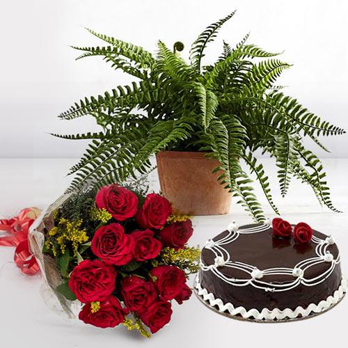 Good Luck Indoor Plant with Cake N Red Roses Bouquet
