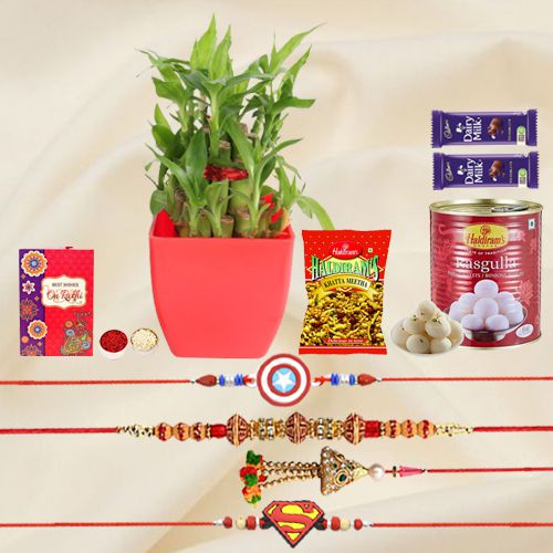 Brilliant 2 Tier Bamboo Plant N Family Rakhi Set