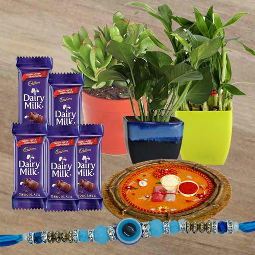 Good Luck Plants Trio Cadbury Chocolates n Pooja Thali for Rakhi